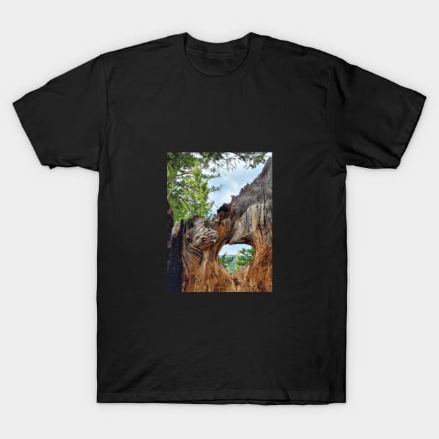 Tree Hole T-Shirt by ReanimatedStore